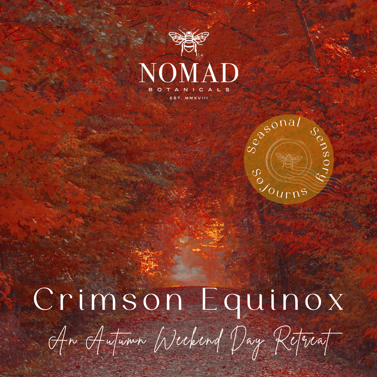 Crimson Equinox - Autumn Weekend Day Retreat